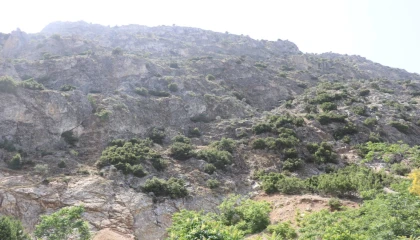 Doğa gezisine çıktı, En tepeye çıktım, mükemmel bir manzara var dedikten sonra haber alınamadı