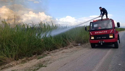 Dökülen çöpler kargıların yanmasına neden oldu