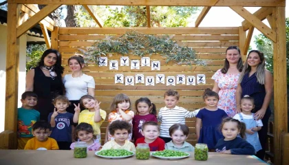 Ekiplerin topladığı zeytinleri minikler işledi