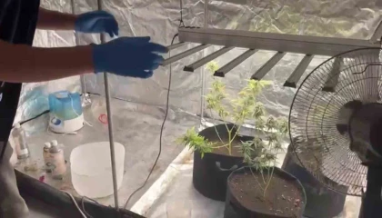 Evine kurduğu özel sistemle uyuşturucu üretirken yakalandı