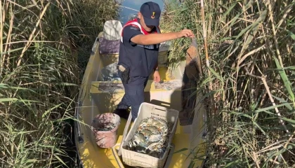 Göksu Deltasında mavi yengeç avcıları yakalandı