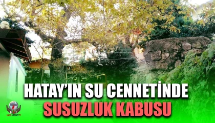 HATAY’IN SU CENNETİNDE SUSUZLUK KABUSU