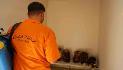 Hükümlüler, kilogramı 15 bin TLye kadar çıkan Kırmızı Reishi mantarı yetiştirdi