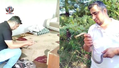 İnsanlar korkularından konteynere giremezken o elleriyle 1 metrelik yılanı yakaladı