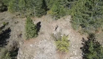 Ispartada kaçak avcı dron kamerasında