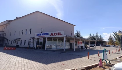 Kahramanmaraşta arının soktuğu çocuk hayatını kaybetti