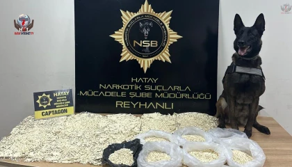 Kasaya zulalanan 10 kiloluk uyuşturucuyu narkotik köpeği 'Alis' buldu