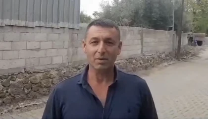 Kediye kalp masajı yaptı, hayata döndürdü