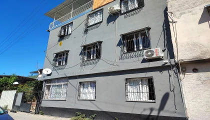 Kediyi çalıp fotoğraf çekindiler: O anlar kameraya yansıdı