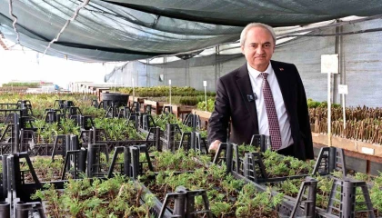 Kepezden kurakçıl peyzaj hamlesi