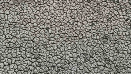 Kuraklığın izi: Seyhan Baraj Gölünde sular çekilince toprak çatladı