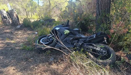 Manavgatta virajı alamayan motosikletli ağaca çarptı: 2 yaralı