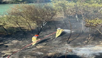 Mersinde bahçe yangını büyümeden söndürüldü