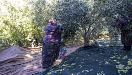 Mersinde kadınlar üreterek güçleniyor