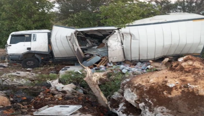 Mersinde kamyon kazası : 2 yaralı