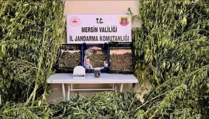 Mersinde uyuşturucu operasyonu