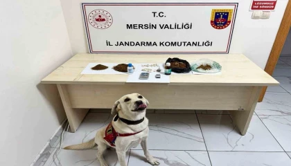 Mersinde uyuşturucu operasyonu: 5 şüpheli tutuklandı