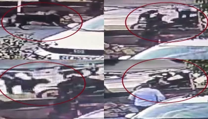 Mersindeki köpek dehşetinde yeni görüntüler ortaya çıktı: İki saldırıda kamerada