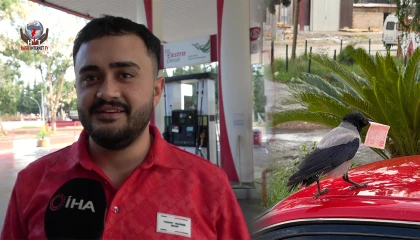 Mizah amaçlı video çekmek isterken 10 TL'sini kargaya kaptırdı