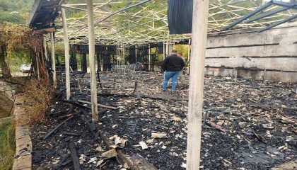 Osmaniyede ahşap alabalık tesisi alevlere teslim oldu