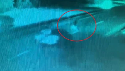 Otomobilin çarptığı yaya hayatını kaybetti