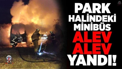 Park halindeki minibüs alevlere teslim oldu