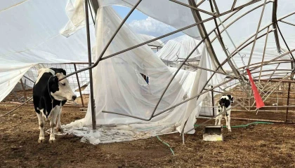 Serikte hasar tespit çalışmaları sürüyor