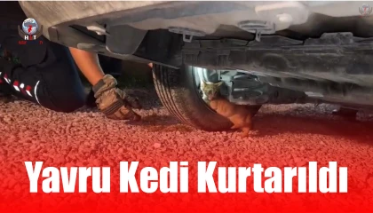 Üşüyerek aracın motoruna giren yavru kedi, kurtarıldı