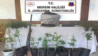 Uyuşturucu üreten şüpheli yakalanıp tutuklandı