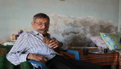 Yalnız kalmıştı, yavruyken kurtardığı sincap dostu oldu