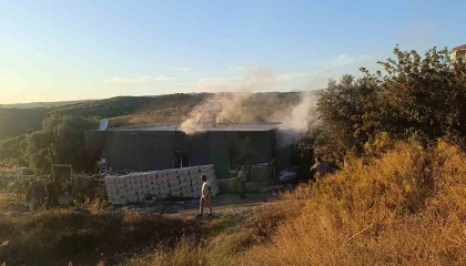 Yangında ev küle döndü, tek teselli kurtarılan muhabbet kuşları oldu