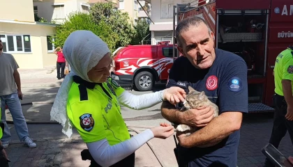 Yangında telef olduğu sanılan kedi dolabın arkasında saklanırken bulundu
