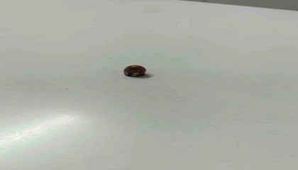 Yorgun mermi iş yerine isabet etti