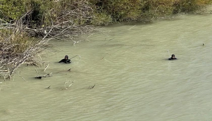 11 gün önce kaybolan engelli şahsın Göksuda cansız bedeni bulundu