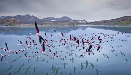 2 yıl önceye kadar flamingoları ağırlayan gölde şimdi sadece ayak izleri kaldı