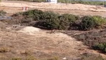 Adanada nefes kesen kovalamaca: Firari hükümlü boş arazide yakalandı