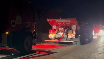 Adanada orman yangını büyümeden söndürüldü