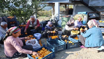Adananın hurmalı köyü, açık fabrikaya dönüştü