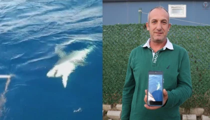 Amatör balıkçılar köpek balığından 1 saat süren mücadeleyle kurtuldu, o anlar kamareya yansıdı