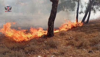 Antakyada orman yangını