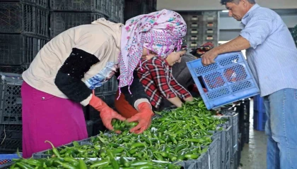 Antalya Ticaret Borsası Ekim ayı hal endeksi açıklandı
