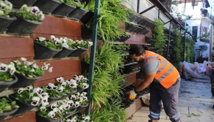 Antalyada 4 milyon çiçek toprakla buluşuyor