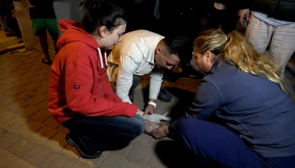 Antalyadaki yangında 2 kedi telef oldu, sahipleri gözyaşlarına boğuldu