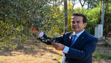 Antalyanın sıvı altını yarışacak