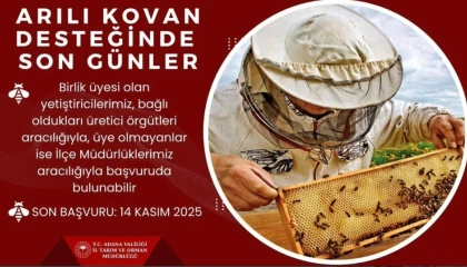 Arılı kovan desteği için son gün