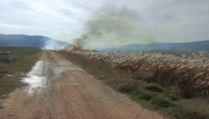 Bucakta sazlık alanda yangın
