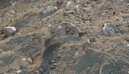 Burdurda belediyenin kazı çalışması sırasında insan kemikleri bulundu