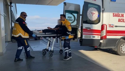 Burdurda sokak köpekleri küçük kıza dehşeti yaşattı