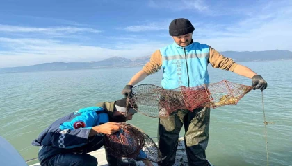 Eğirdir Gölünde 300 kaçak kerevit pinteri ele geçirildi