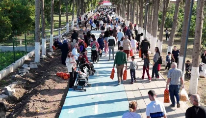 Filesini eline alan vatandaşlar dalından bedava narenciye topladı